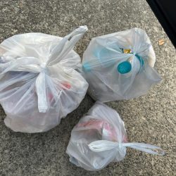 清掃活動：花見カレイ狙い