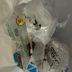 清掃活動：花見カレイの調査