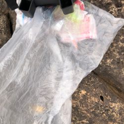 清掃活動：好調先生