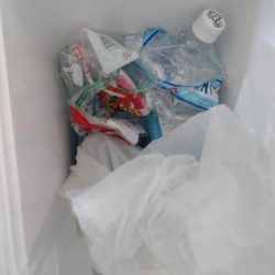 清掃活動：今年初のタイラバで黒鯛！