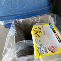 清掃活動：二度目の天草コウイカ釣りに行って…