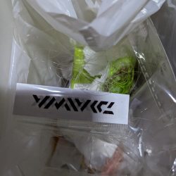 清掃活動：メバリング