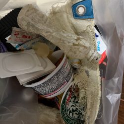 清掃活動：久しぶりのグランバイツでヒットw…