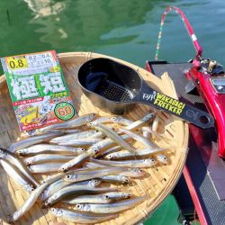 ワカサギ釣り！（貸しボ－ト）