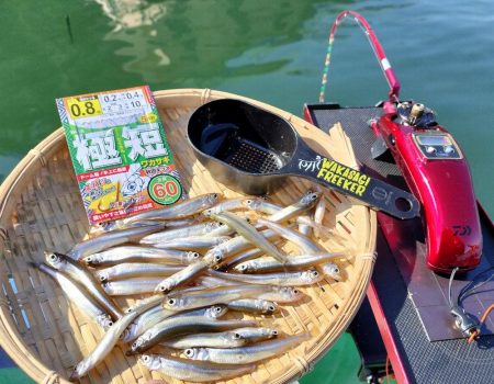 ワカサギ釣り！（貸しボ－ト）