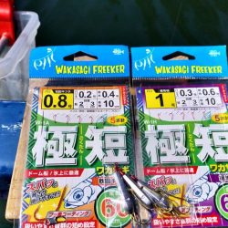 ワカサギ釣り！（貸しボ－ト）