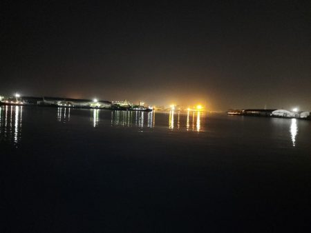 バチ抜けシーバス🎣