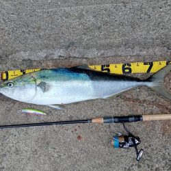 プチsalt water game