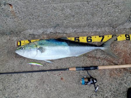 プチsalt water game