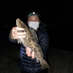 でかいアイナメ