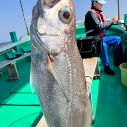 泉州丸さんでクログチ