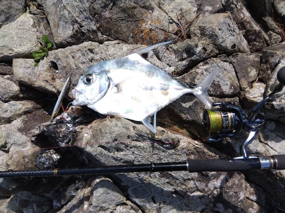 初の沖磯チャレンジ!