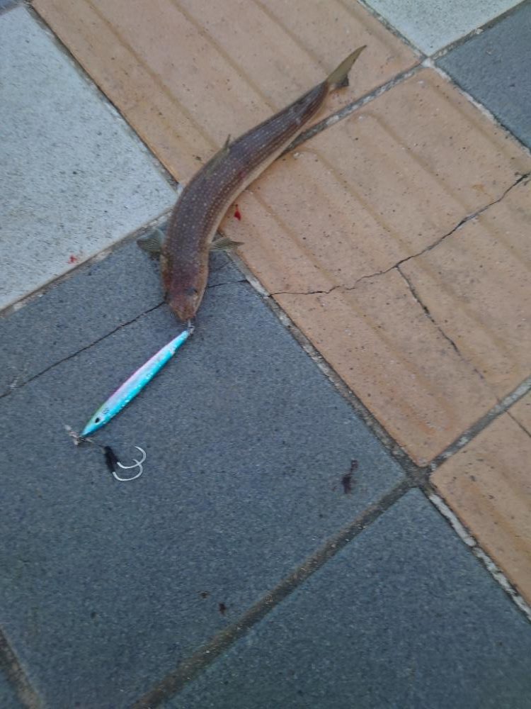 外道マスター！ESO＆DATSU