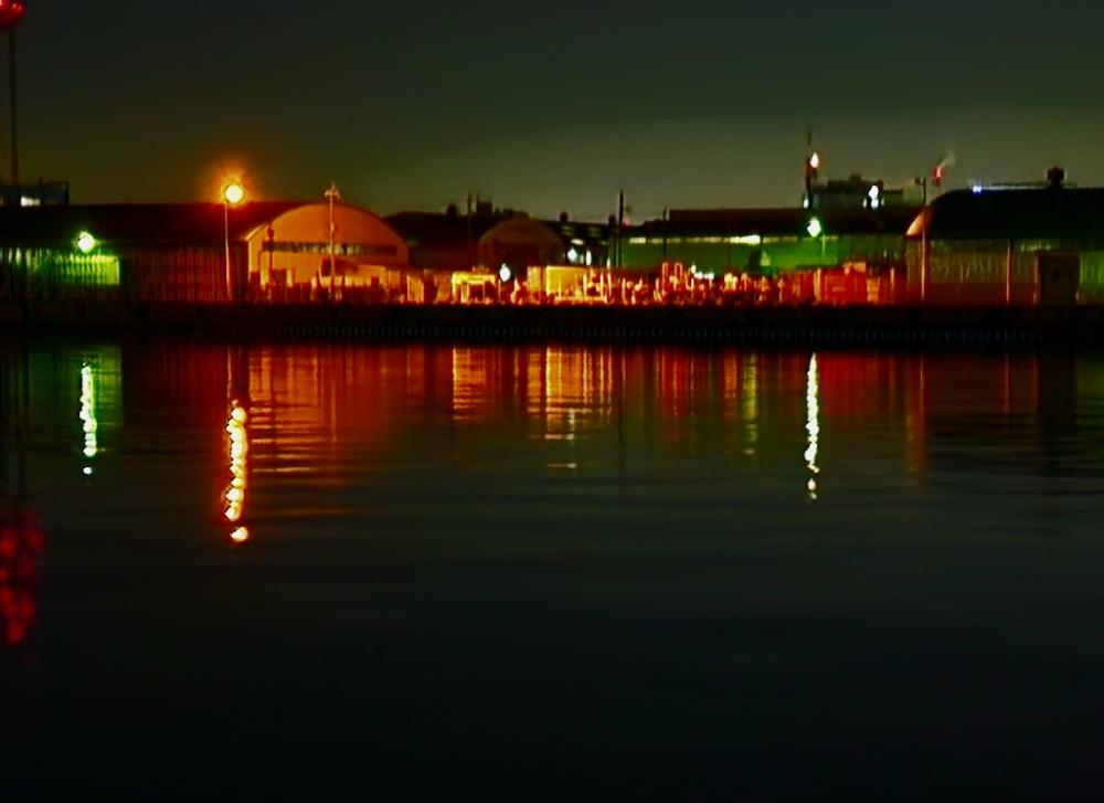 バチ抜け10戦目  初魚種(*^^*)