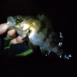 タイミングです