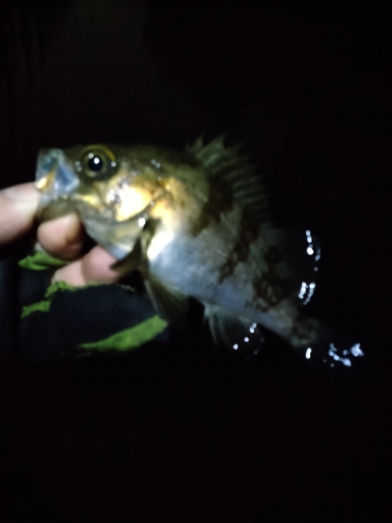 タイミングです