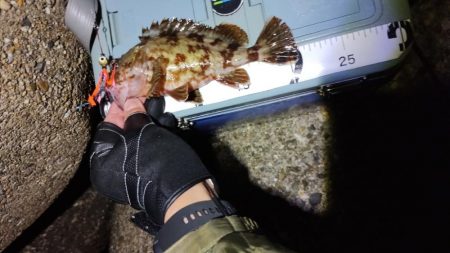 久しぶりのお持ち帰り