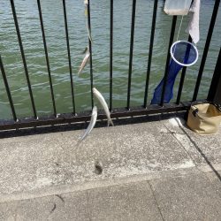 ★★今日も絶好調でした★★