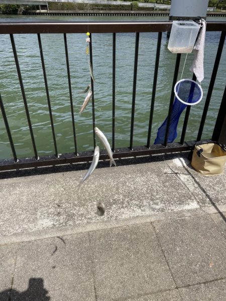 ★★今日も絶好調でした★★