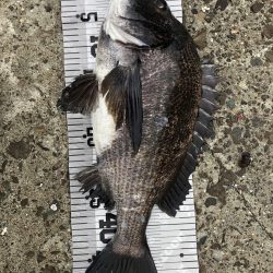 イチノ兄弟（兄）釣果！