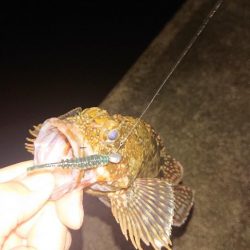 ぼちぼち風あるね