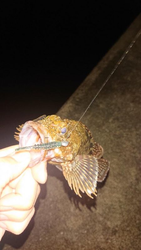 ぼちぼち風あるね