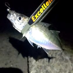 ライトゲームへ