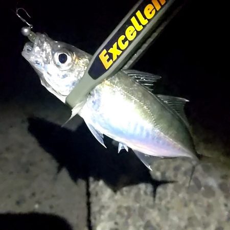 ライトゲームへ