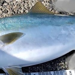 下げ止まり＆潮目、トップ付近狙い成功♪