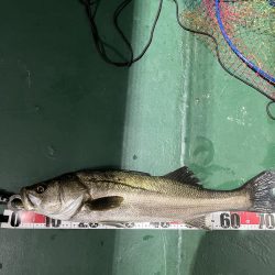 大在でアジング