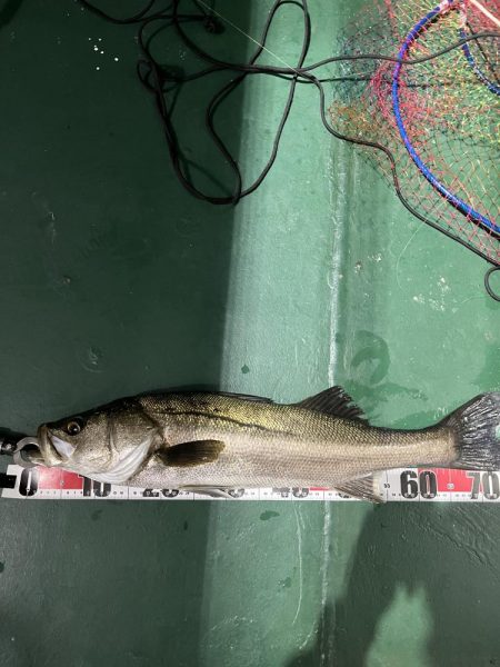 大在でアジング