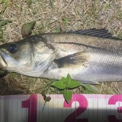 ががっときました。