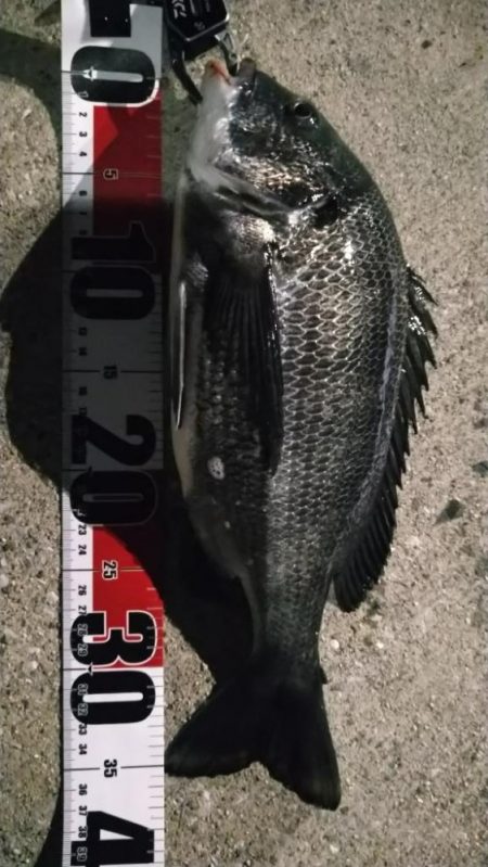 バチパターン？