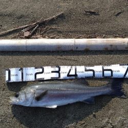 2023年初釣行にて