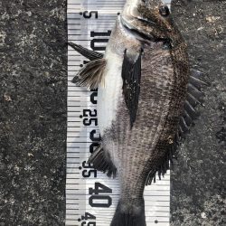 イチノ兄弟(兄)釣果!