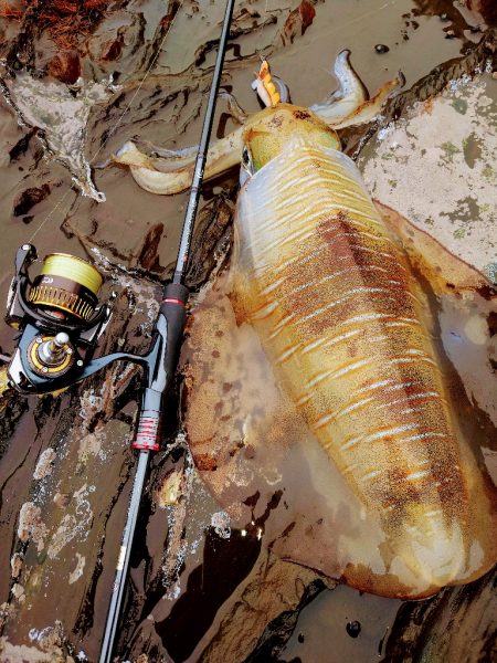 強風エギングIN対馬