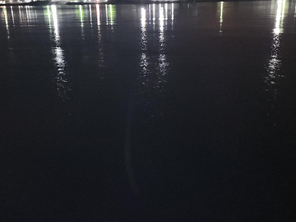 バチ抜け11戦目 雨天釣行