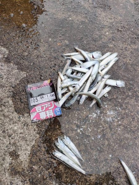 ファミリーフィッシング