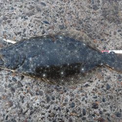 小座布団届かず💨💨