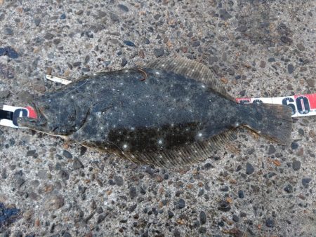 小座布団届かず💨…