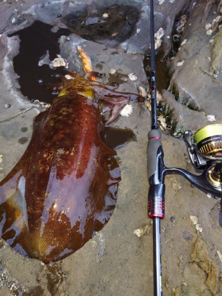 爆風エギングIN対馬