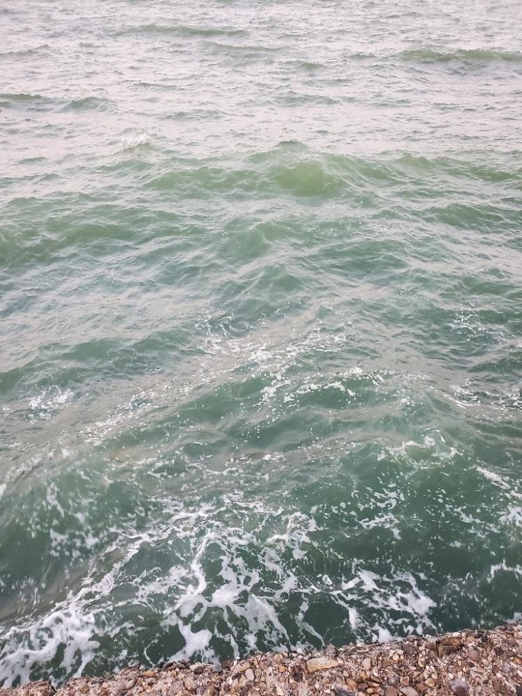 アジング　ポイント探し