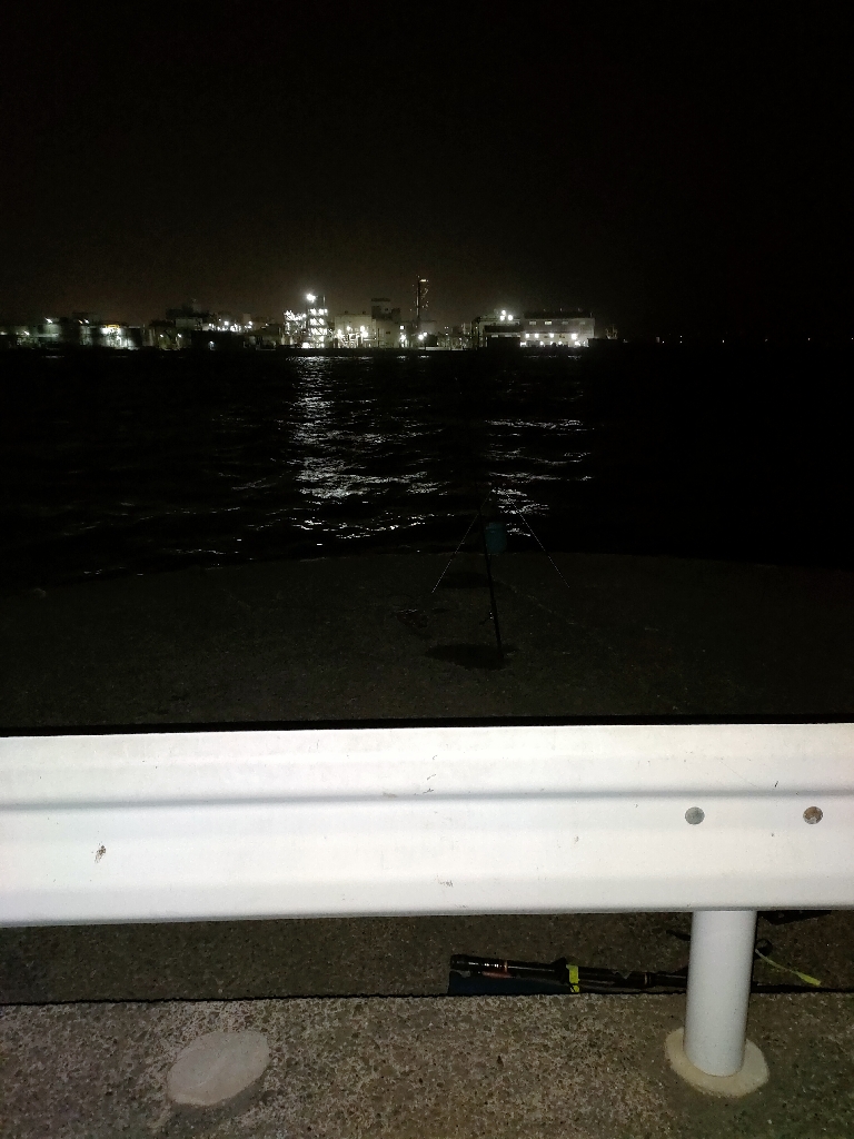 泉佐野ドラム缶でメバル