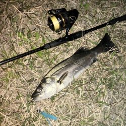 ががっときました。