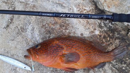 春政求めるも…