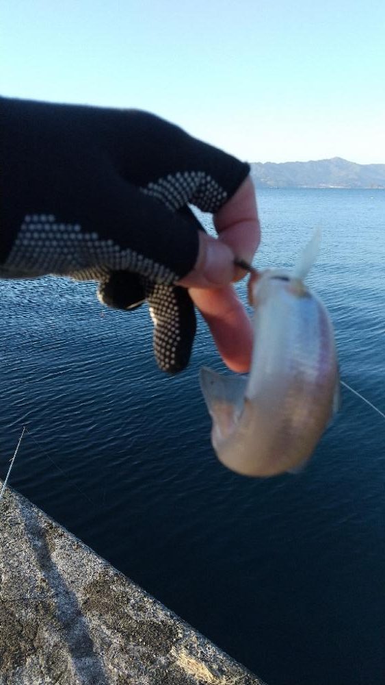 キス～寒の戻り？