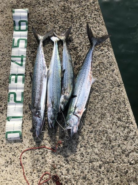 いつものご近所釣行