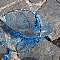 ザンネンな結果😣