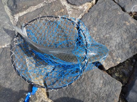 ザンネンな結果😣