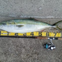 プチsalt water game